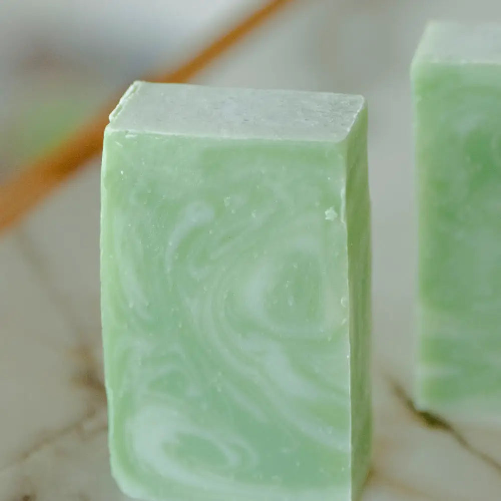Moisturizing Body Wash Soap Bars Coconut Milk & Aloe