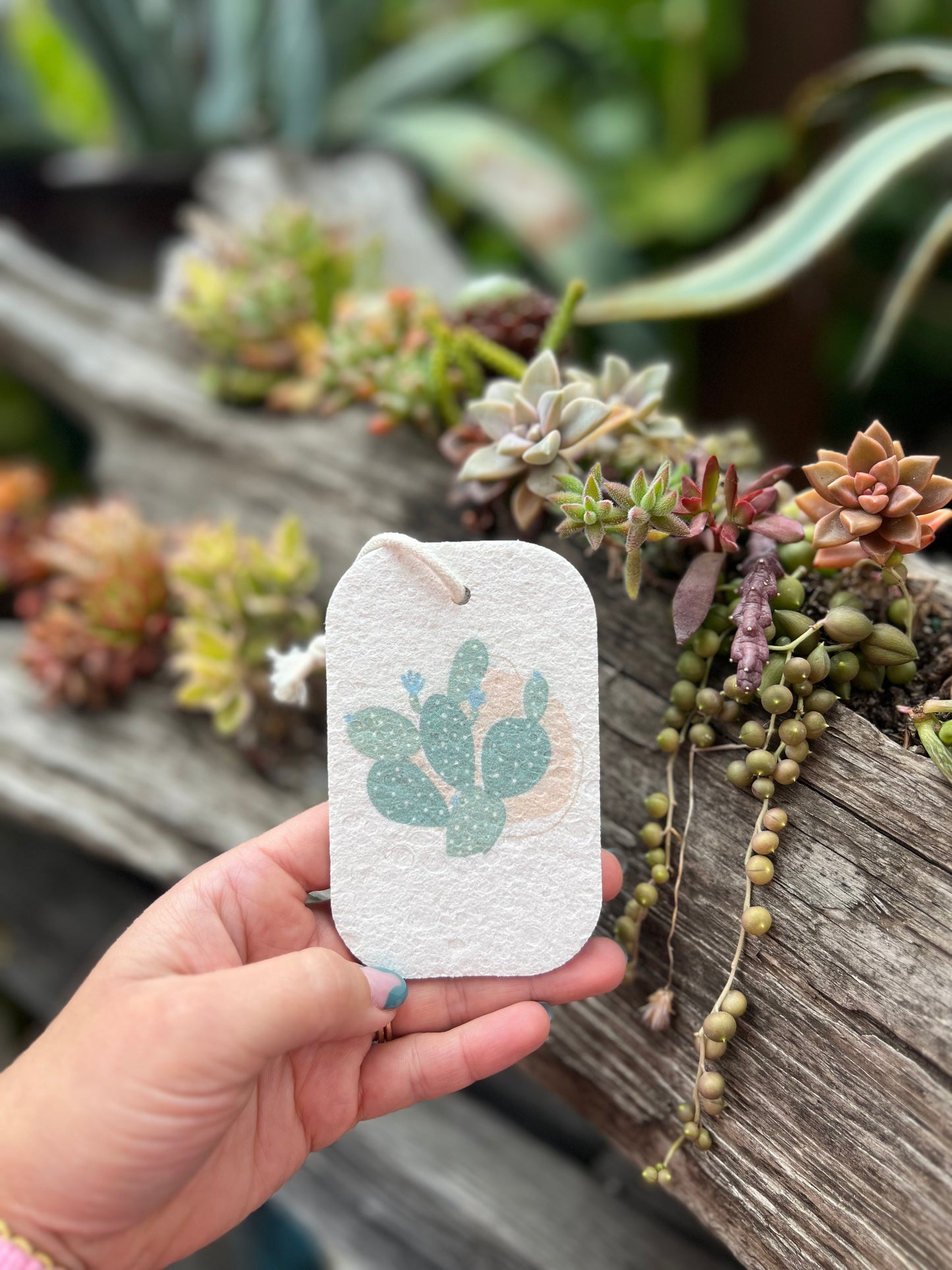 Eco Pop-Up Sponge