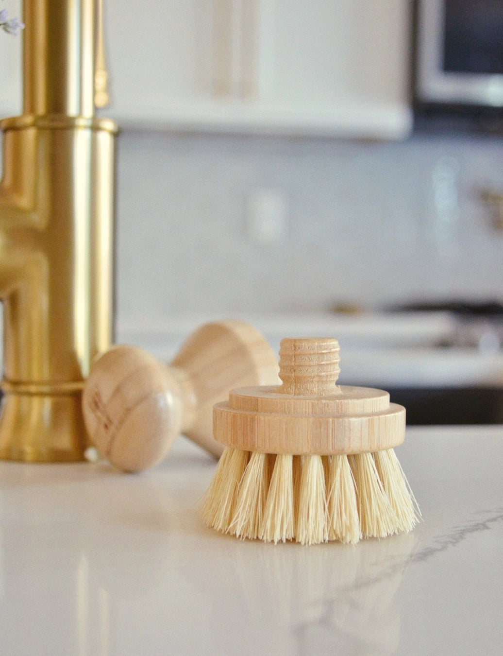 Modular Brush Refill Heads