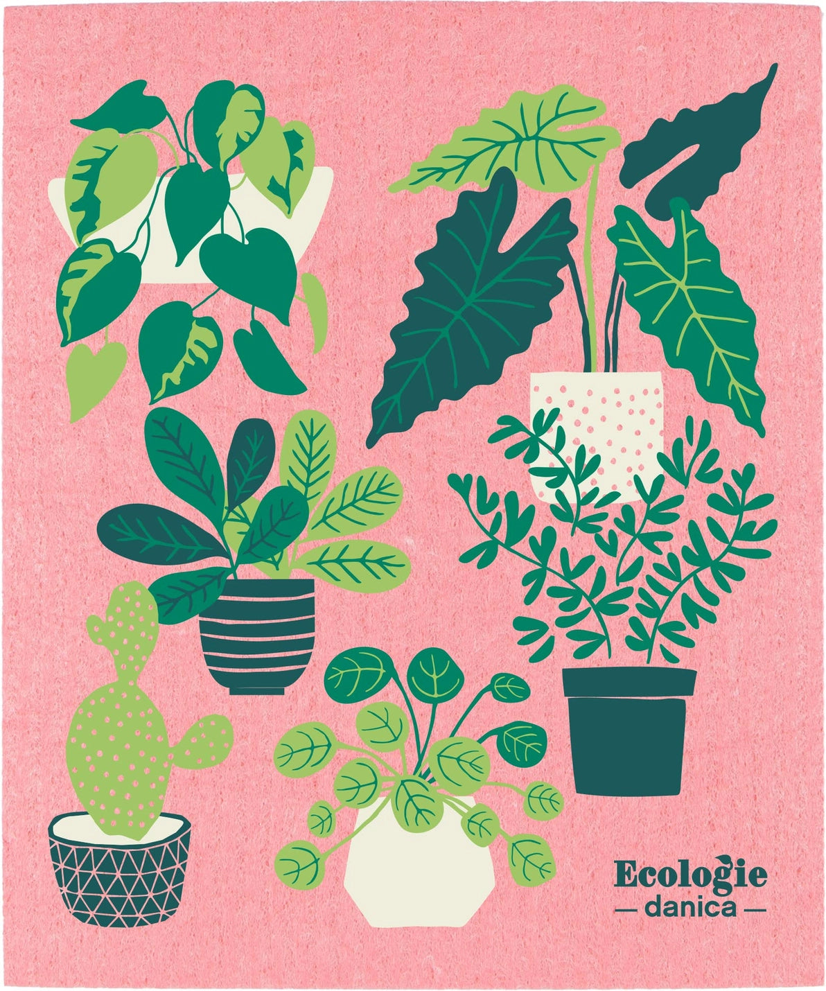 Eco Dishcloth - Plantitas