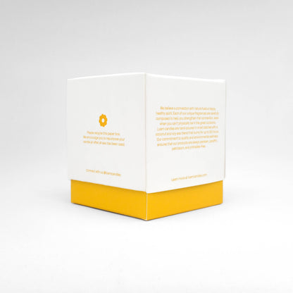 Citrus Season Candle