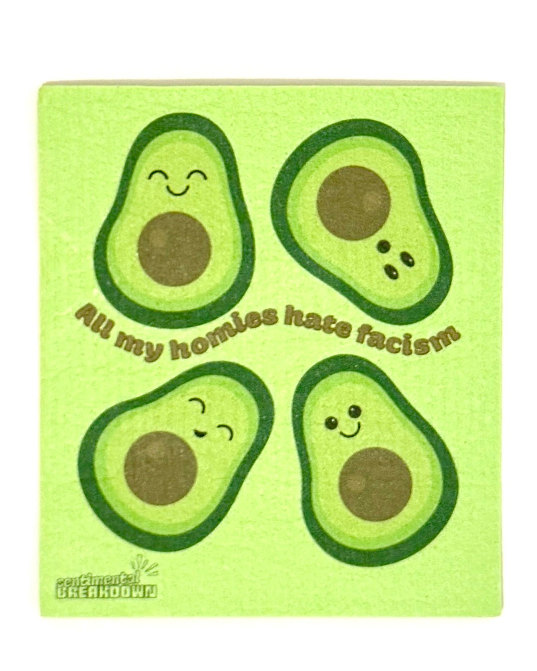 Eco Dishcloth - All My Homies Hate Facism