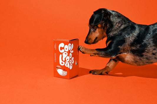 "Thank You" Dog Poo / Kitty Litter Bag