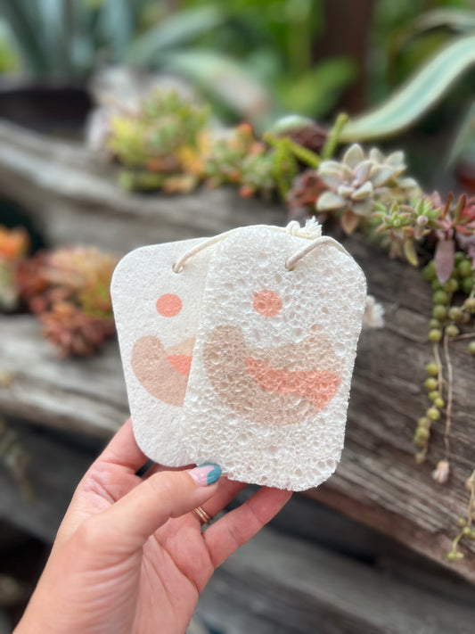 Eco Pop-Up Sponge