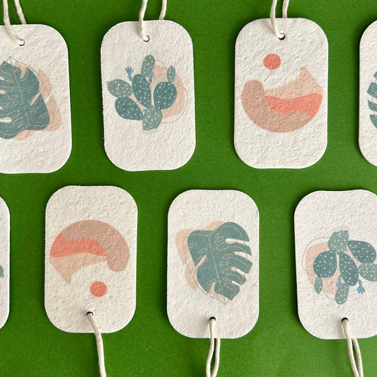 Eco Pop-Up Sponge