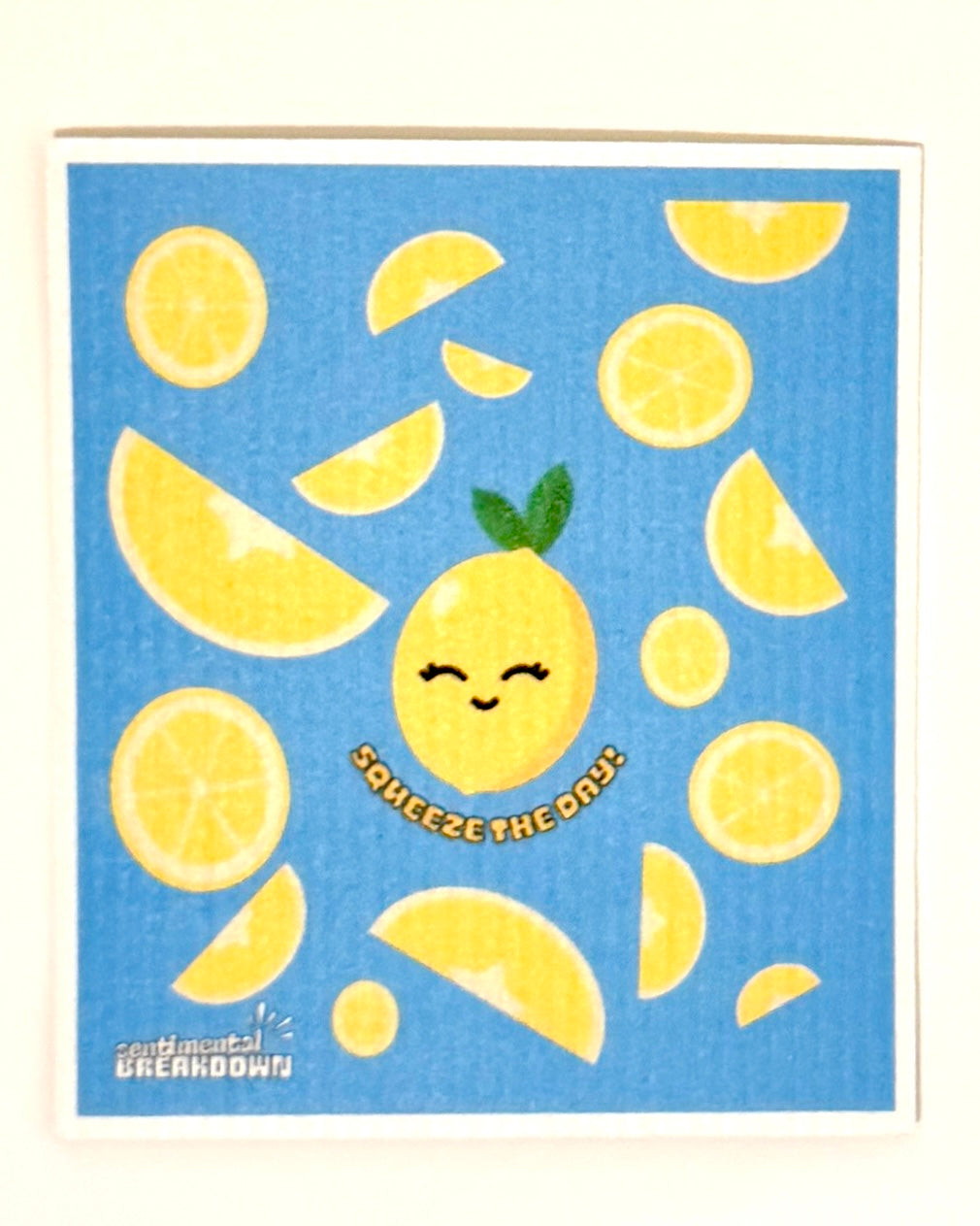 Eco Dishcloth - Squeeze The Day