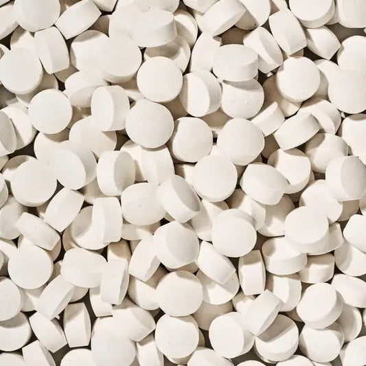 Fluoride-Free Toothpaste Tablets - Charcoal Mint