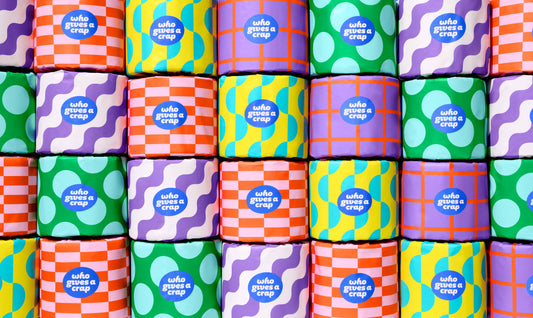 100% Recycled Toilet Paper - Single Roll