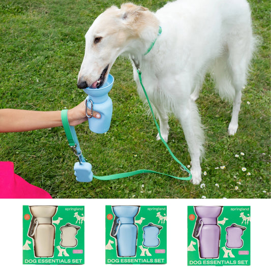 Springland Dog Essentials Gift Set